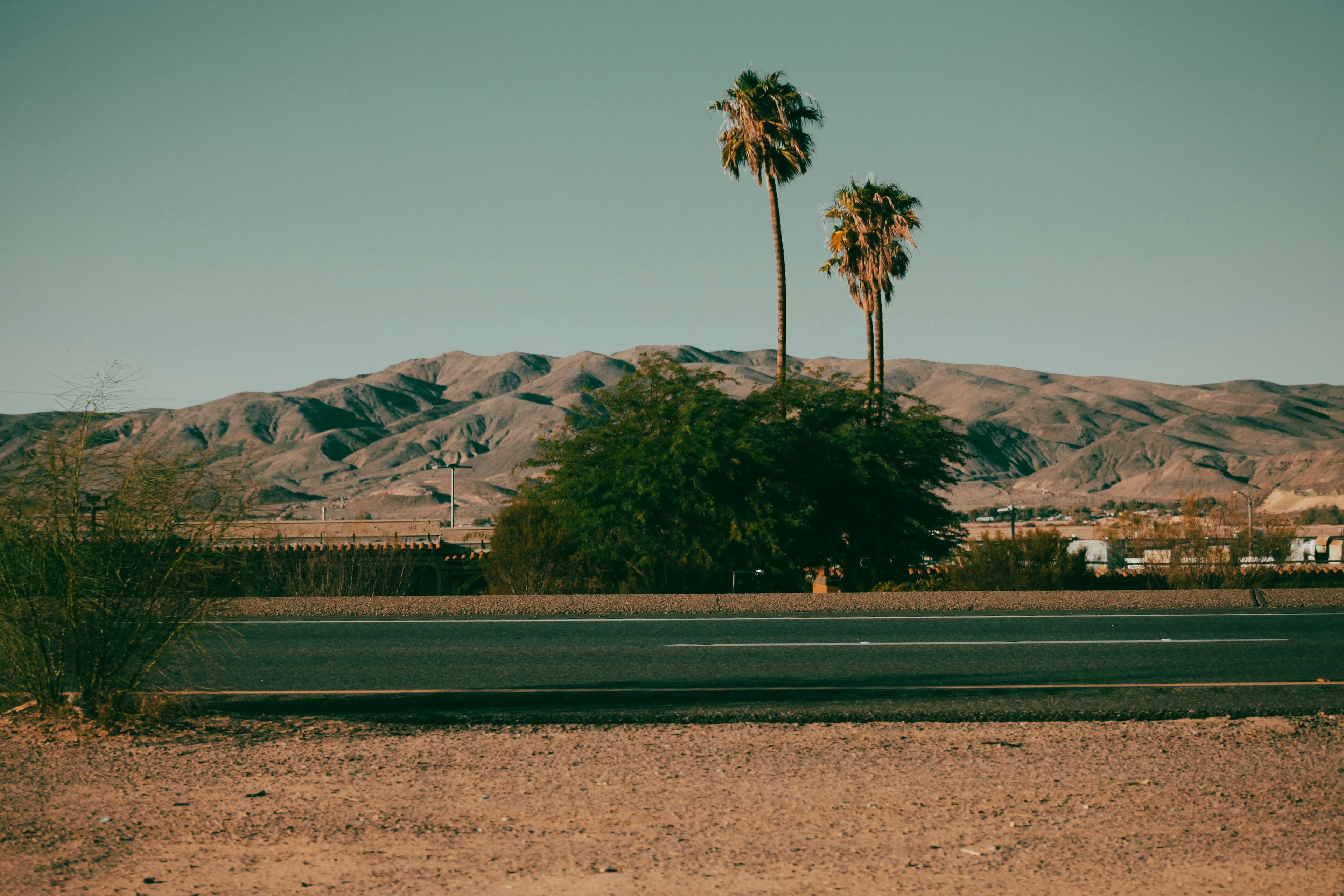 Sunny residential street in Lemon Grove with palm trees and blue sky